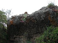 otta Intraleo-20100515 014